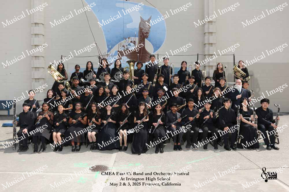 Musical Images